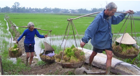 Опубликован доклад о демографическом старении населения в Восточной Азии и Тихоокеанском регионе